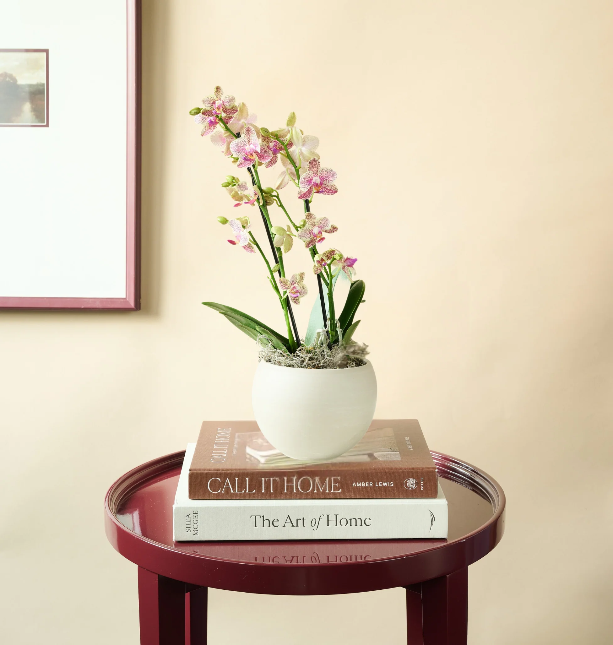 Mini Orchid - Image 9